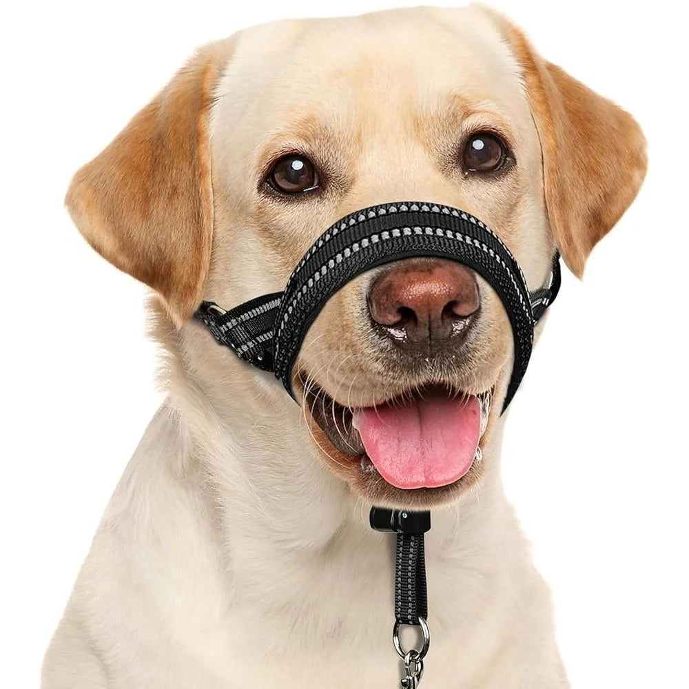 Fujian Dog Head Collar No Pull Training Halter Reflective