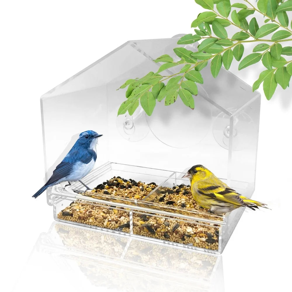 XMSJ Window Bird Feeder With Suction Cups And Clear Acrylic