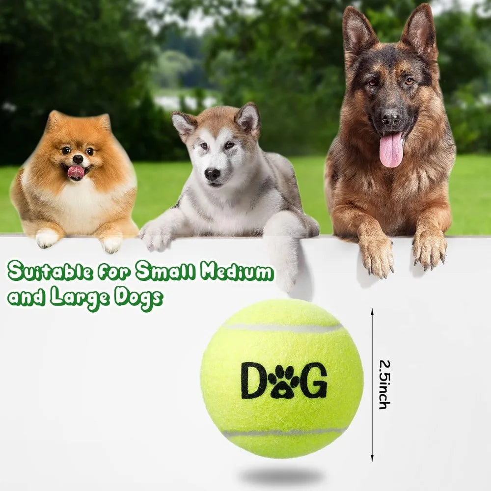 Dog Tennis Balls Bulk Pack With Carry Bags And Toys
