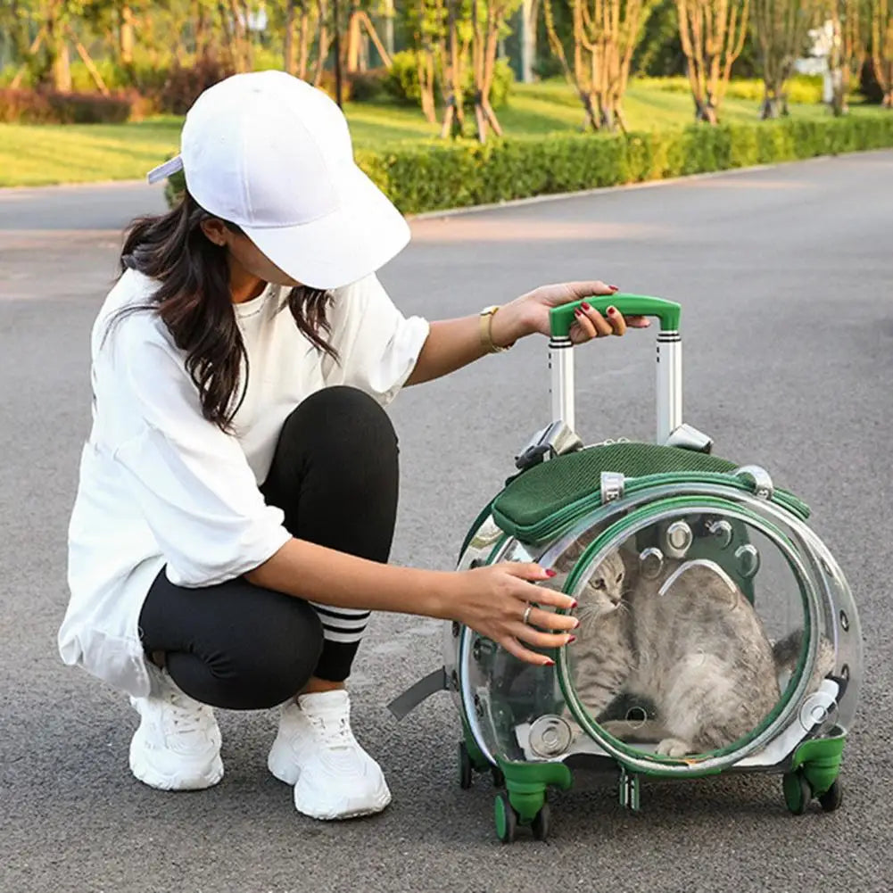 Pet Trolley Case Clear Ventilation Holes Portable Travel Backpack