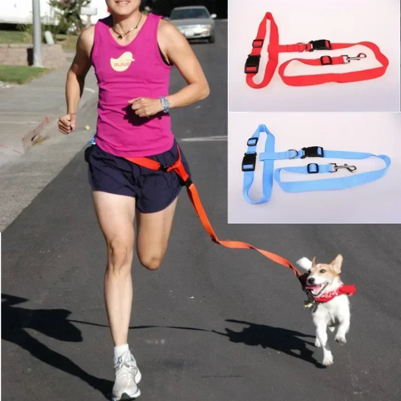 Adjustable Pet Lead Belt for Dogs and Cats Hands-Free Jogging Supplies