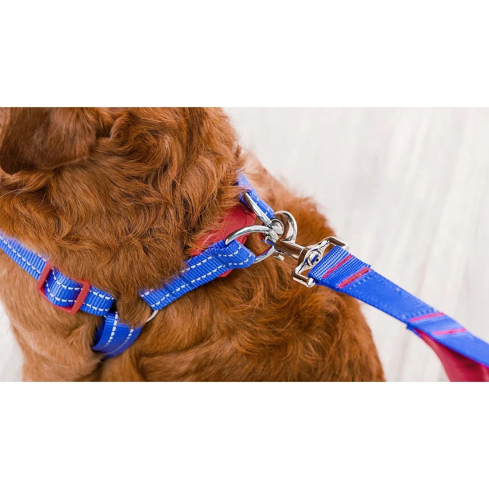 Dutrieux Adjustable Breathable Mesh Harness Step In Style