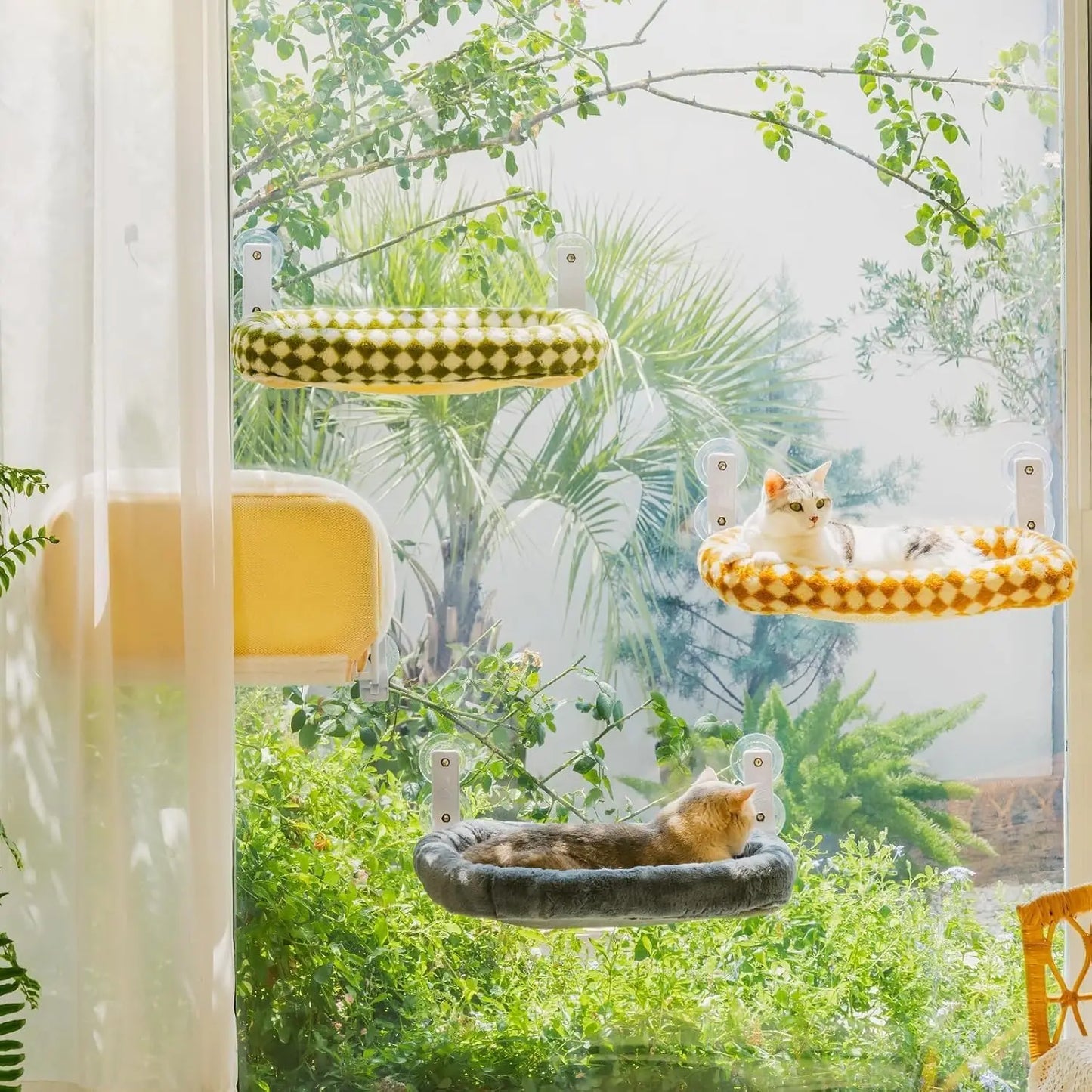 MEWOOFUN Foldable Cat Window Perch With Strong Suction Cups