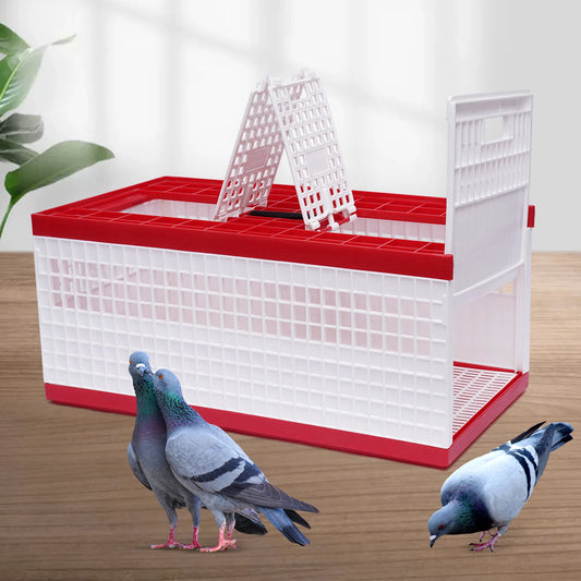 Foldable Pigeon Cage With Handle Plastic Carrier For Pigeons
