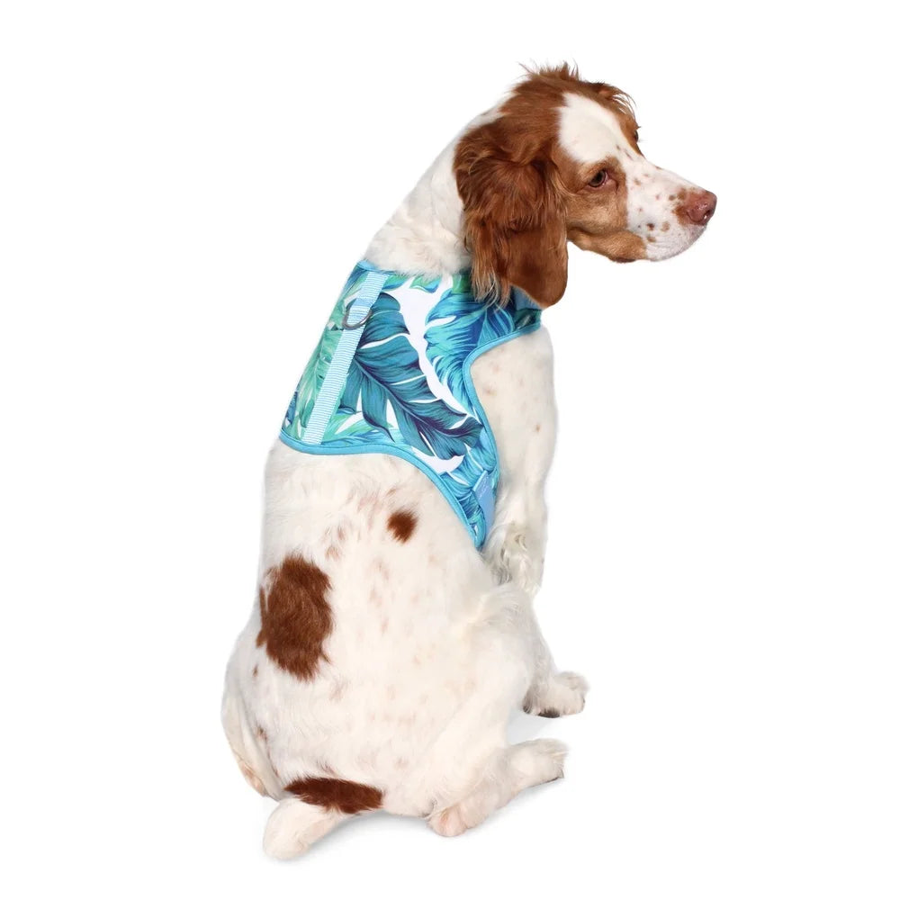 DUTRIEUX Tropical Leaf Adjustable Dog Harness D Ring Straps