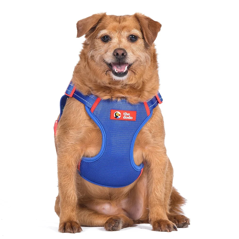Dutrieux Adjustable Breathable Mesh Harness Step In Style